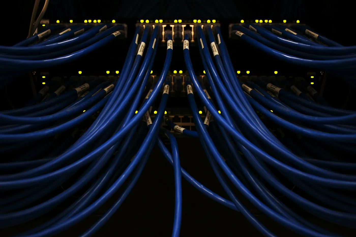 Blue network cables connected to a patch panel.
